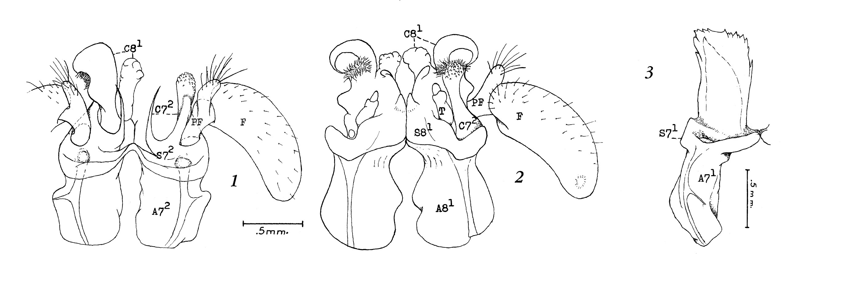 Diagramm eines menschlichen Herzens, das die Klappen hervorhebt und mit Nummern und Text beschriftet, um einen Patentanspruch auf eine Herzklappe anzuzeigen.