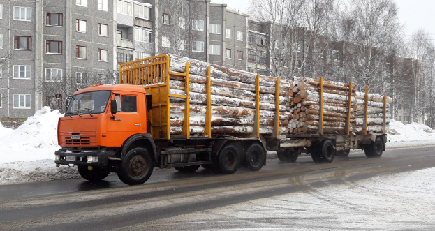 Ein Lastwagen transportiert Holz auf einer schneebedeckten Straße mit Bäumen, fensterlosen Gebäuden und einem klaren Himmel im Hintergrund.