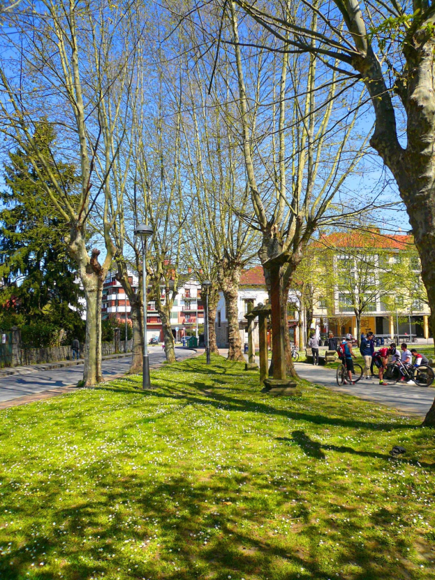 Ein Park mit grünem Gras und Bäumen, Menschen, die spazieren gehen und Fahrrad fahren auf einer Straße, mit Gebäuden und einem klaren blauen Himmel im Hintergrund.