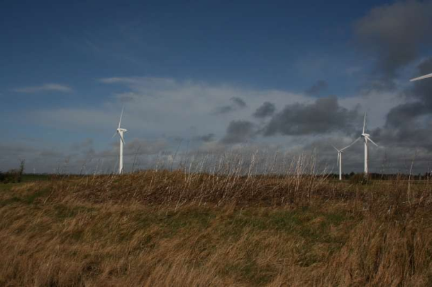 Ein Windturbinenfeld auf einer grünen Wiese mit Bäumen im Hintergrund und Wolken am Himmel, wahrscheinlich ein Windpark in den Niederlanden.