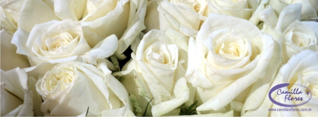 Ein Strauß weißer Rosen mit einer kleinen Inschrift am unteren Bildrand.