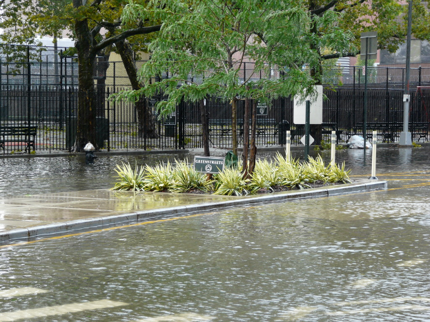 Pflanzen, Bäume und eine Platte in der Mitte, umgeben von Wasser auf der Straße, mit einem Zaun, einem Gebäude und zusätzlichen Pflanzen im Hintergrund.