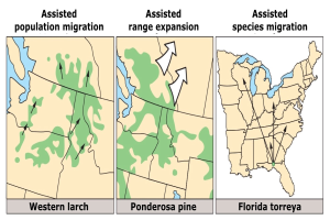 Ein Plakat mit einer U.S.-Karte, das verschiedene Arten der unterstützten Bevölkerungsmigration zeigt, mit begleitendem erklärendem Text.