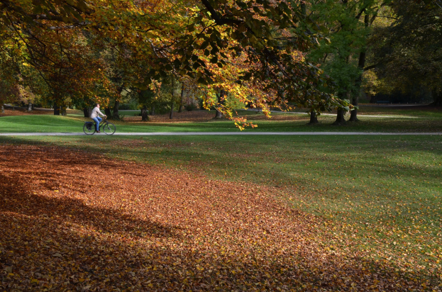 Eine Person fährt mit dem Fahrrad ältere Blätter auf einem Weg in einem Park mit buntem Herbstlaub.