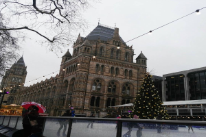 Menschen auf einer Außen-Eisbahn vor dem Naturkundemuseum in London mit einem geschmückten Weihnachtsbaum und einer Person mit einem Schirm.