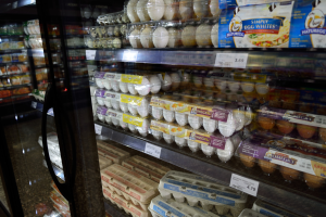 Ein Kühlregal in einem Supermarkt mit verschiedenen Eiern, jeweils mit Preisschildern versehen, vor einem leicht unscharfen Hintergrund.