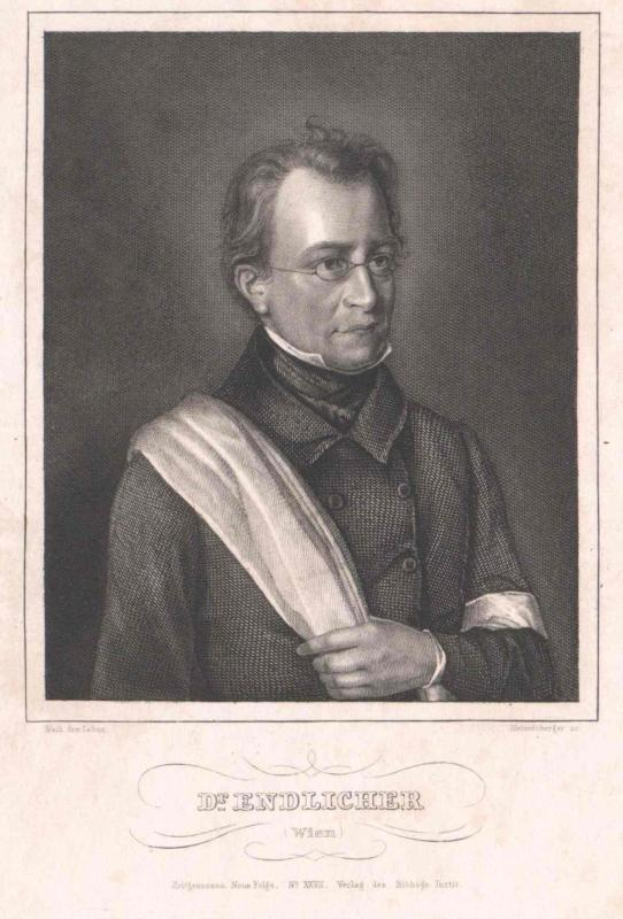 Eine schwarz-weiße Gravur eines Mannes in Anzug und Krawatte, der eine Brille trägt und ein Buch hält, mit dem Text "Wien, Johann Wolfgang von Bismarck" unten.