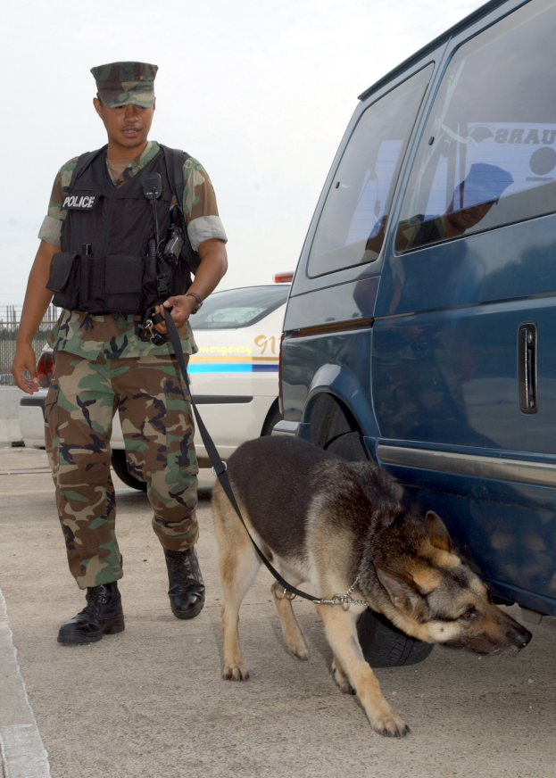 Ein Polizist in Uniform steht auf einer Straße und hält einen angeleinten Hund, im Hintergrund sind ein Van, andere Fahrzeuge, ein Zaun und der Himmel zu sehen.