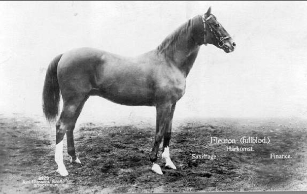 Ein Schwarz-Weiß-Foto eines Pferdes, das im Dreck steht und den Kopf hochhält, mit wehender Mähne und Schweif und wachsamen Augen.