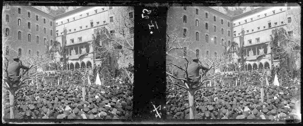 Ein Schwarz-Weiß-Foto einer großen Menschenmenge vor einem Gebäude mit Bäumen und Fahnen im Hintergrund, einige halten Schilder und Banner, was auf eine Demonstration in einer Stadt hindeutet.